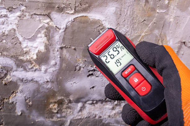 Best Best Mold Removal Companies  in New Castle, PA